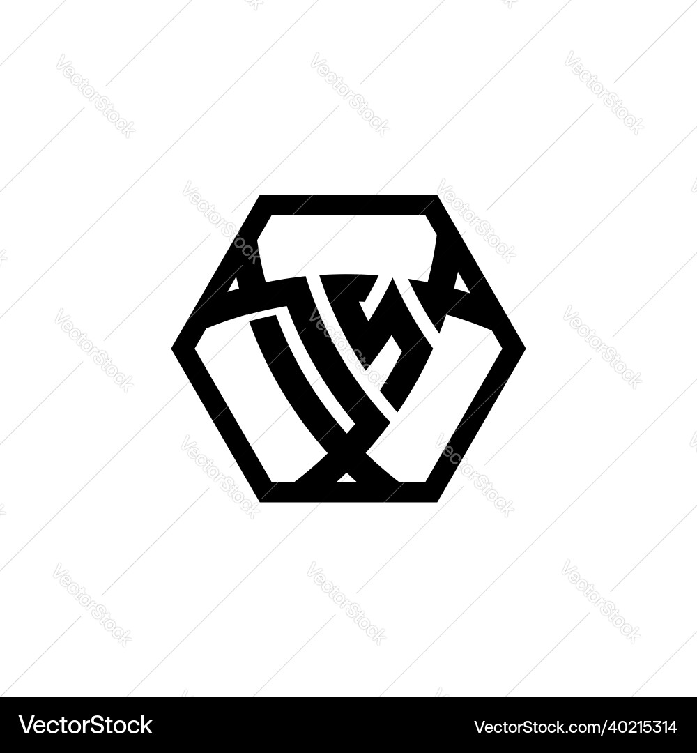 Ds logo monogram triangle shield hexagonal style Vector Image