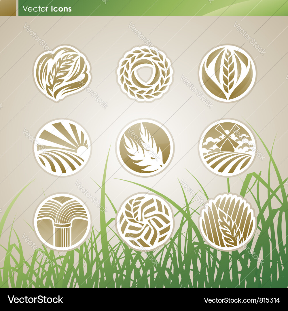 Grain & Harvest Logo Set Vektorbild