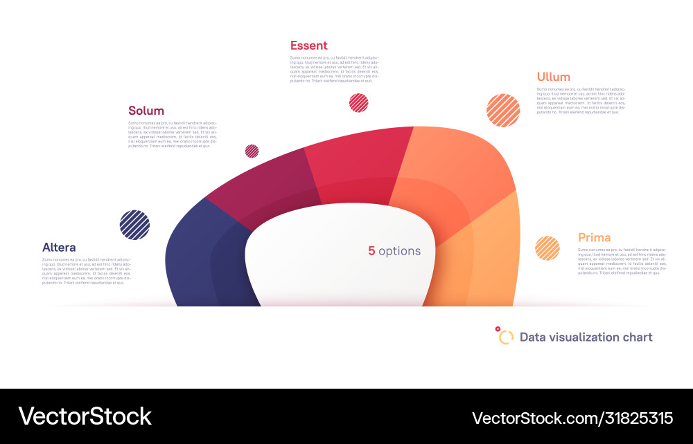 Abstract Pie Chart Template - Five Part Segmentati Abstract Pie Chart Template - Five Part Segmentati vector image