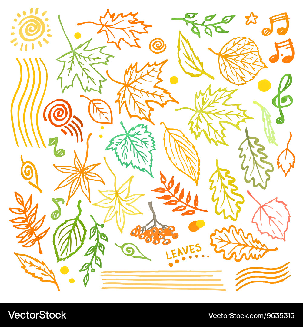 Colorful floral collection with leaves Vector Image