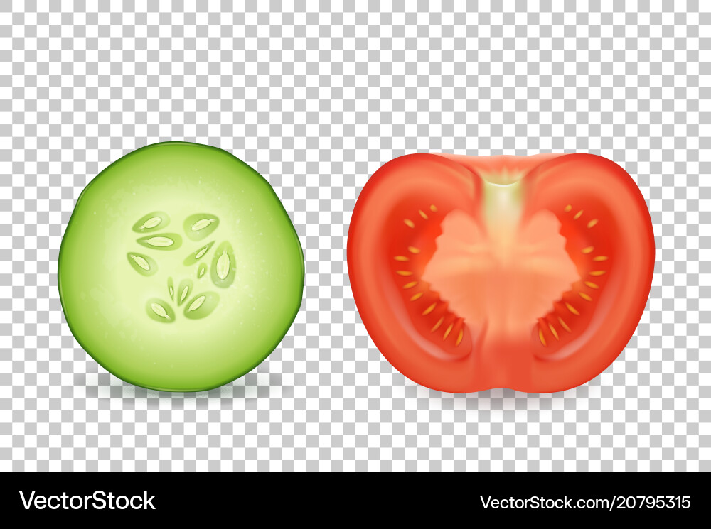Sliced Cucumber and Tomato Vector Image