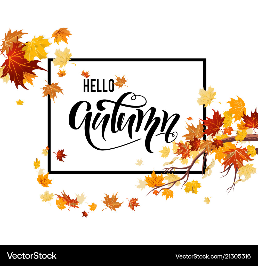 Autumn Maple Leaves - Fall Banner Vector Image