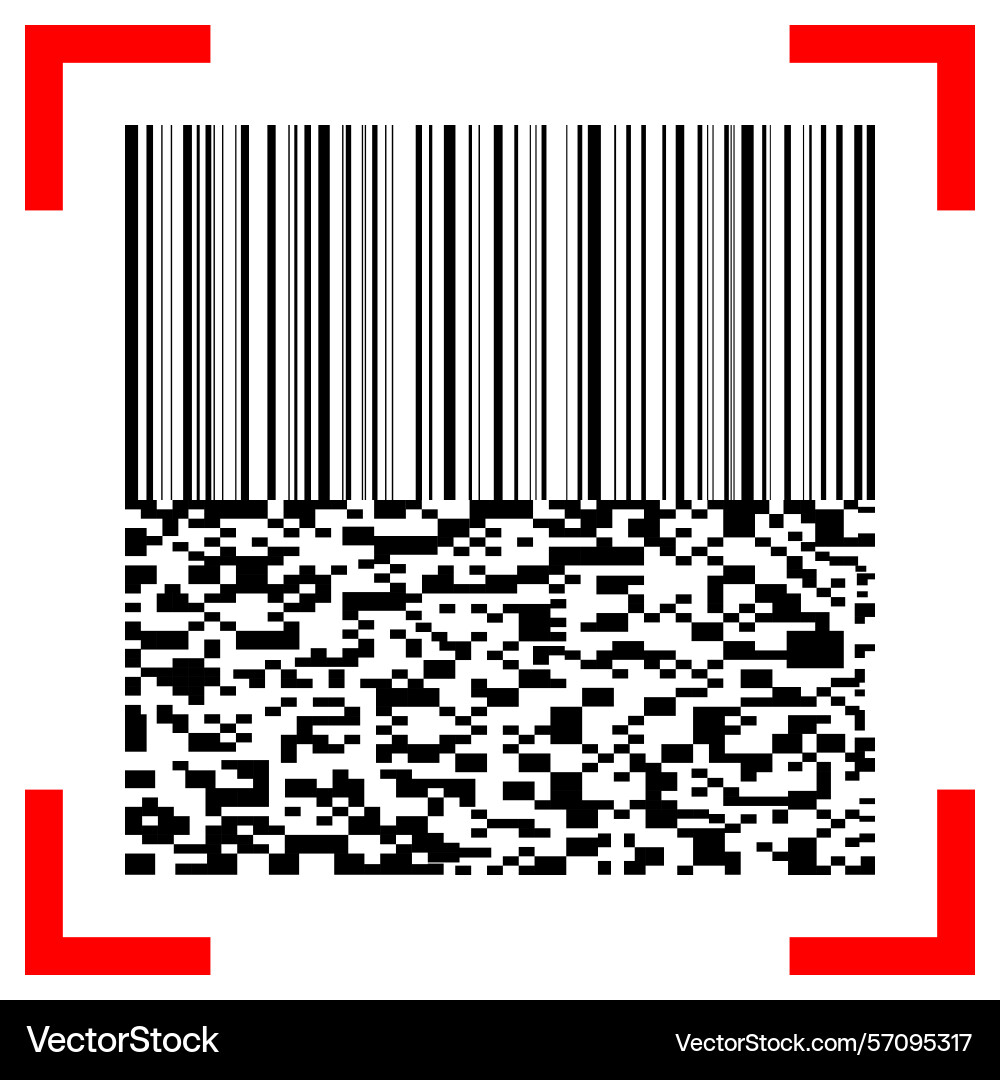 Barcode and qr code with red scanner on white Barcode and qr code with red scanner on white Vector Image