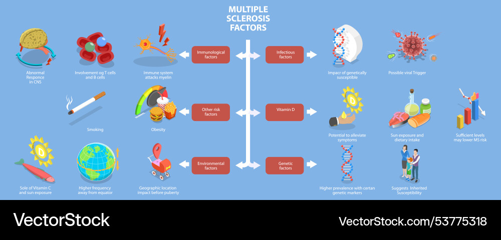 3d isometric flat of multiple 3d isometric flat of multiple vector image