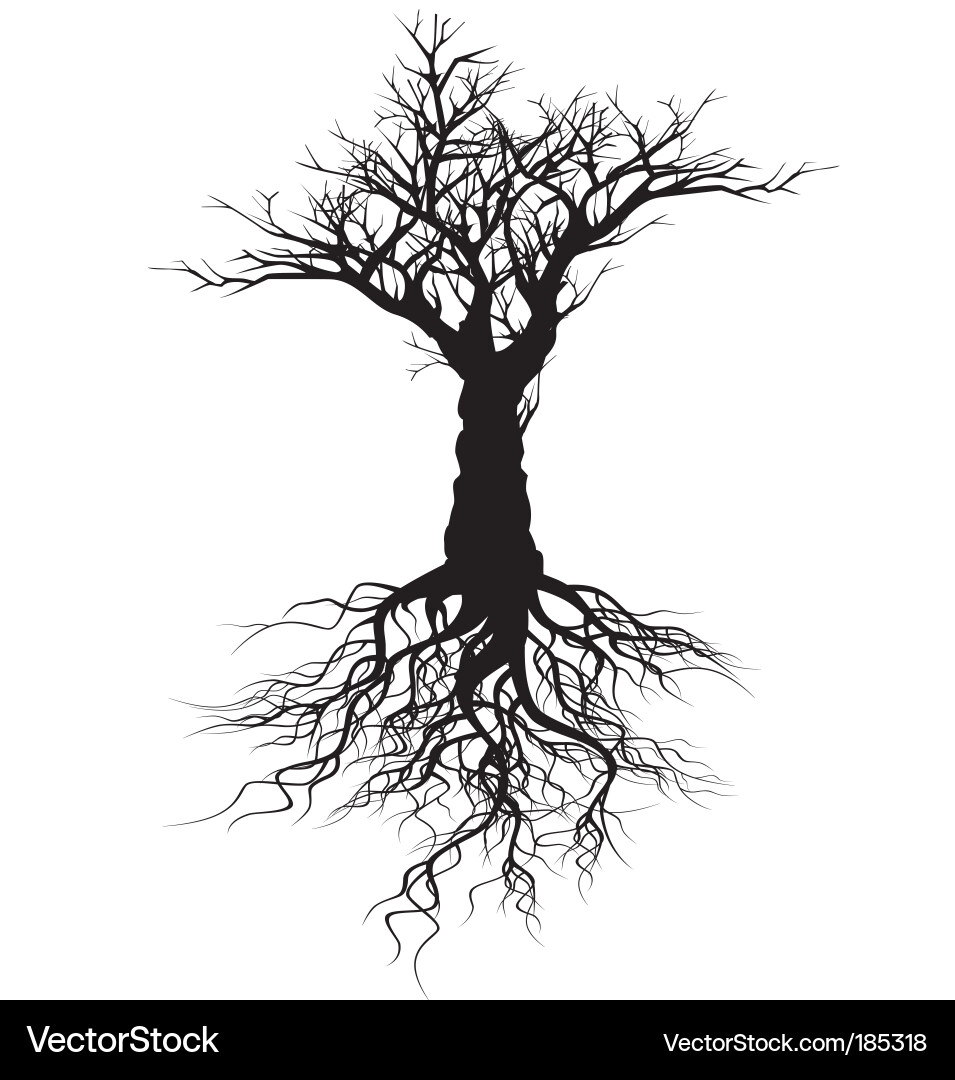 Dark Tree Silhouette vector image