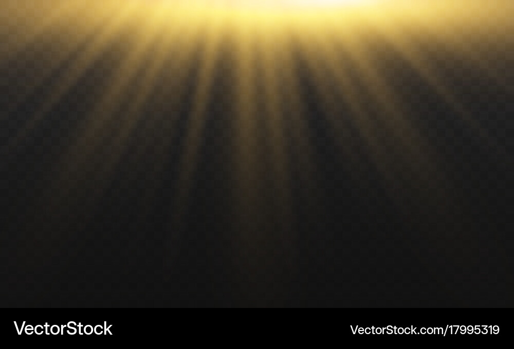 Light flare special effect with rays of Vector Image