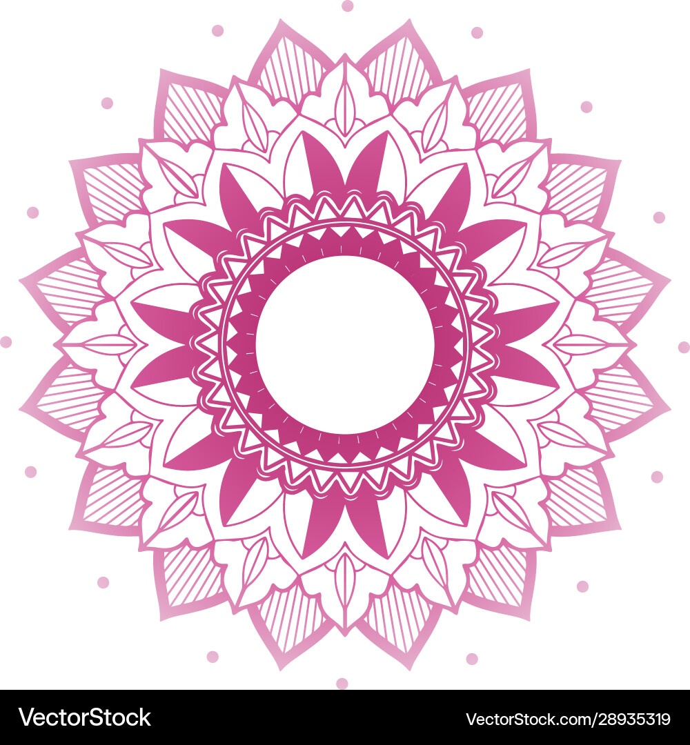 Mandala patterns on isolated background Vector Image