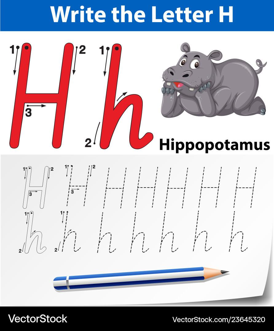 Letter h tracing alphabet worksheets Vector Image