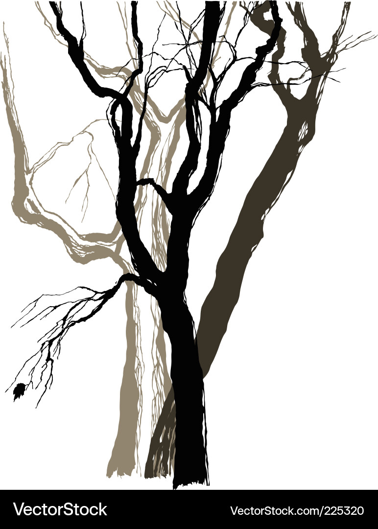 Old Tree Sketch Vector Image