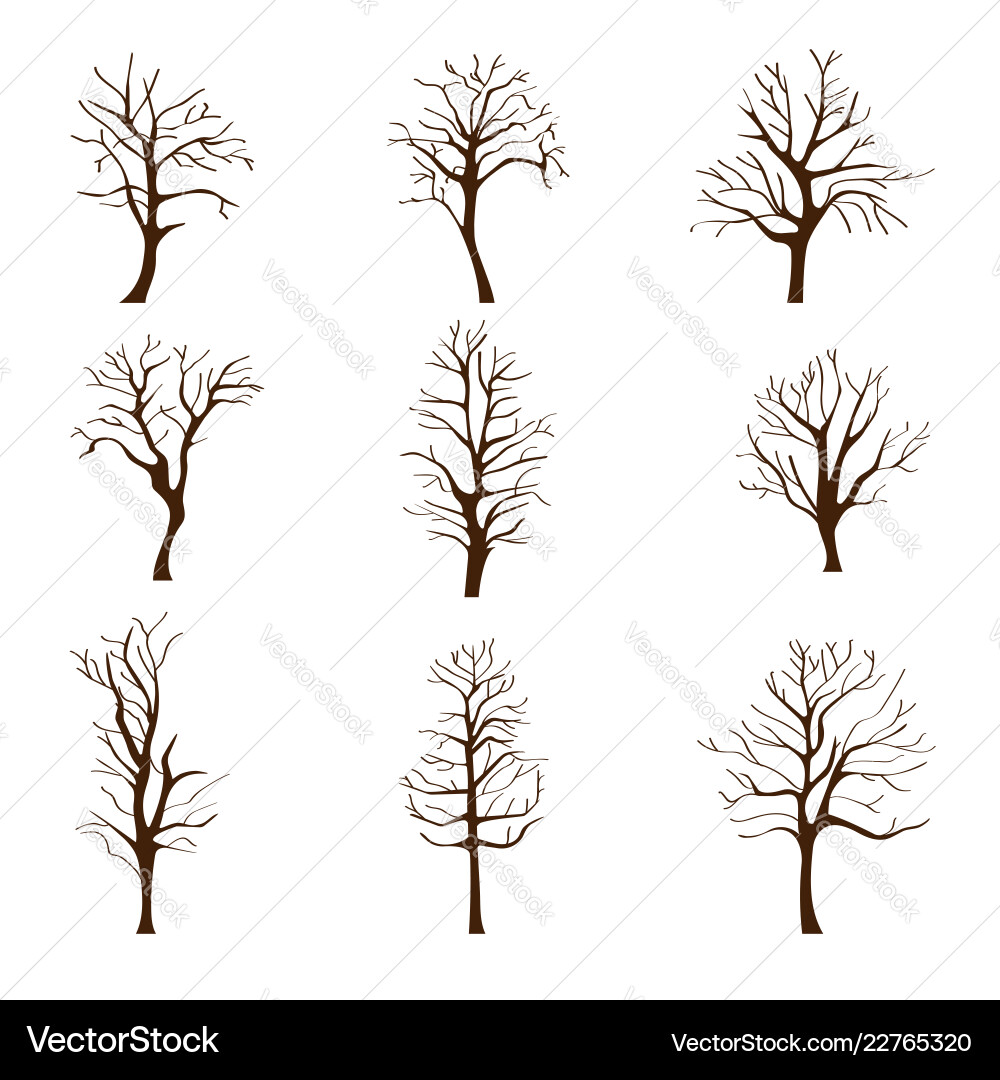 Set of different trees without leaves in autumn Vector Image