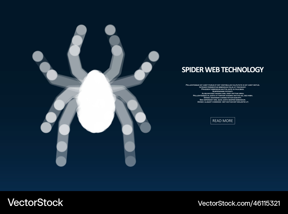 Spider hacker attack danger Spider hacker attack danger Vector Image