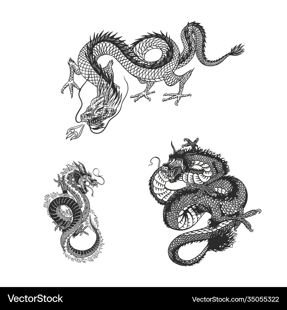Japanese dragon mythological animal or asian Japanese dragon mythological animal or asian vector image
