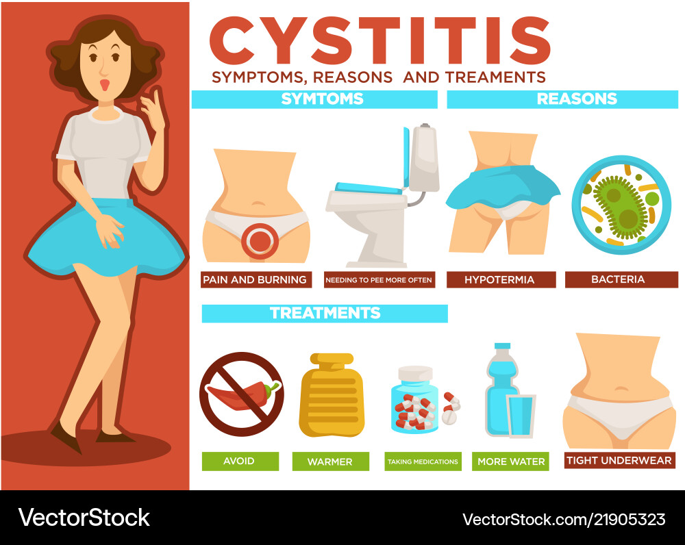 Cystitis symptoms and reasons treatment poster Cystitis symptoms and reasons treatment poster vector image