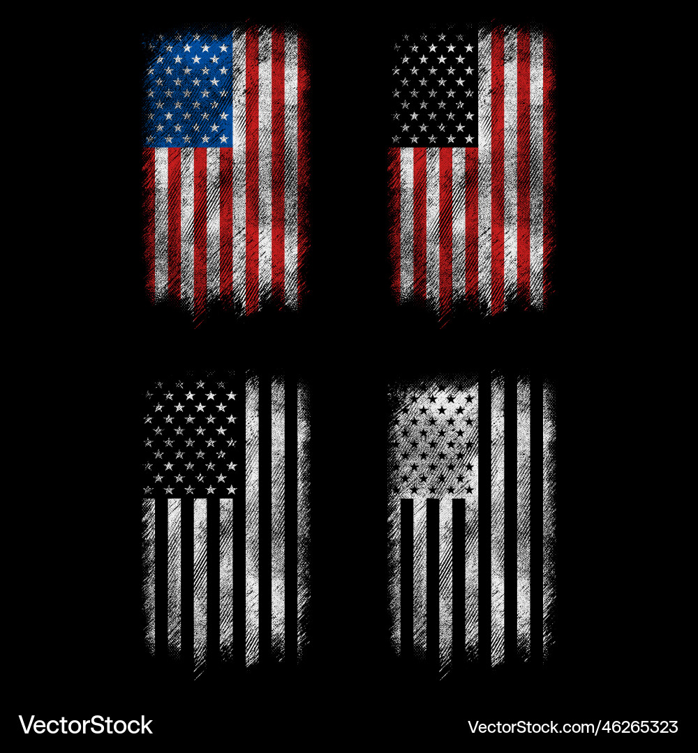 Grunge USA Flag Set vector image