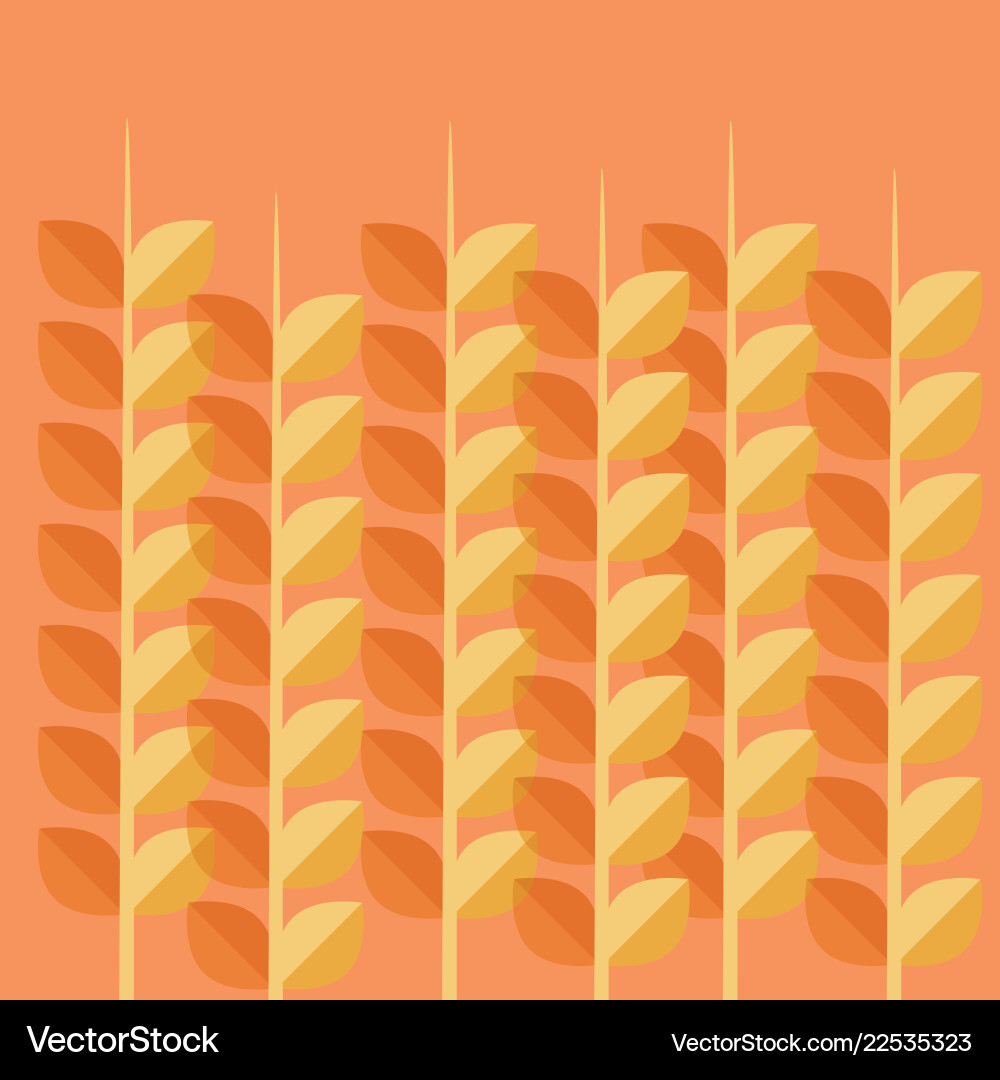 Wheat spikes pattern background Vector Image
