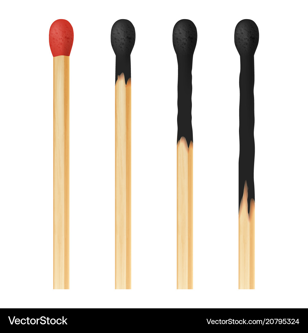 3d realistic colorful match stick icon set 3d realistic colorful match stick icon set vector image