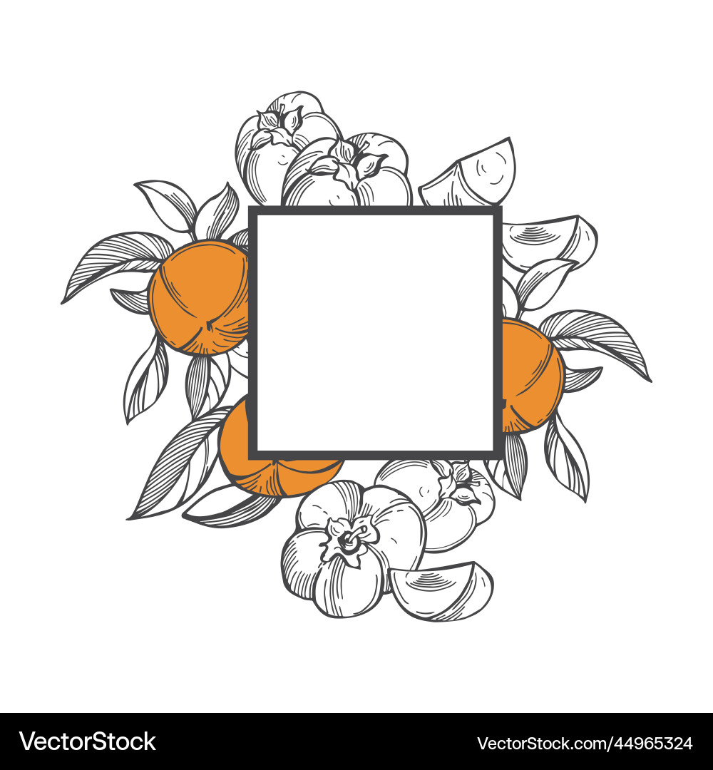 Frame with sketch persimmon Frame with sketch persimmon Vector Image