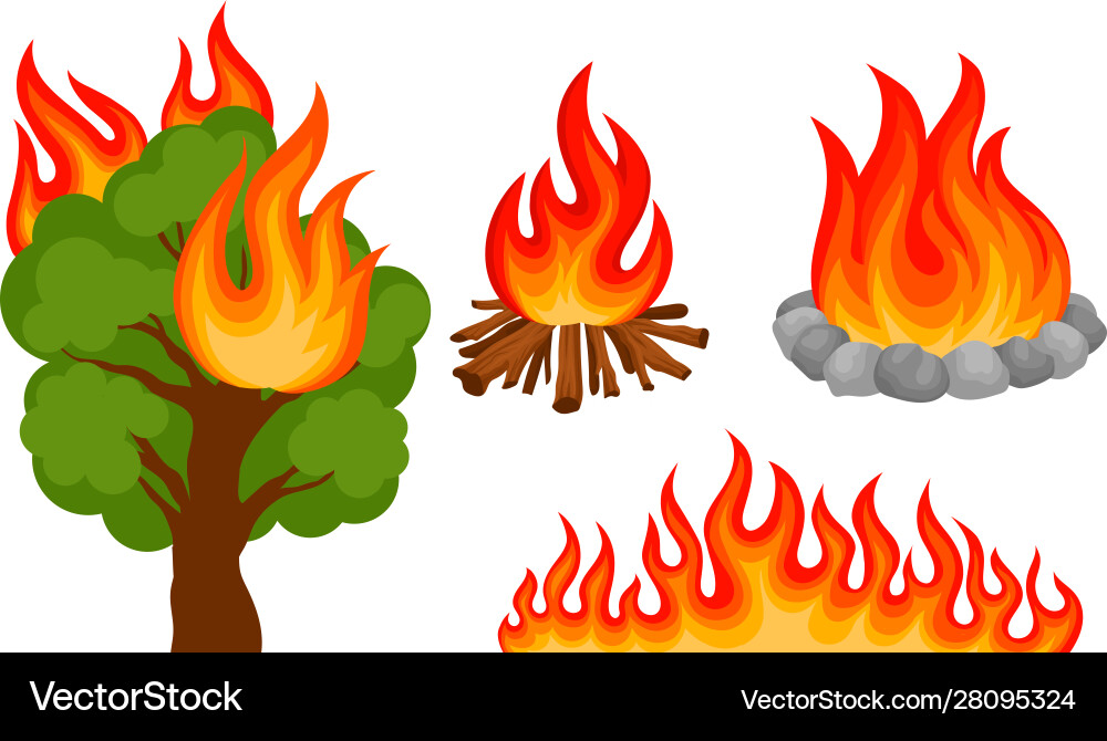 Set different types fires Vector Image