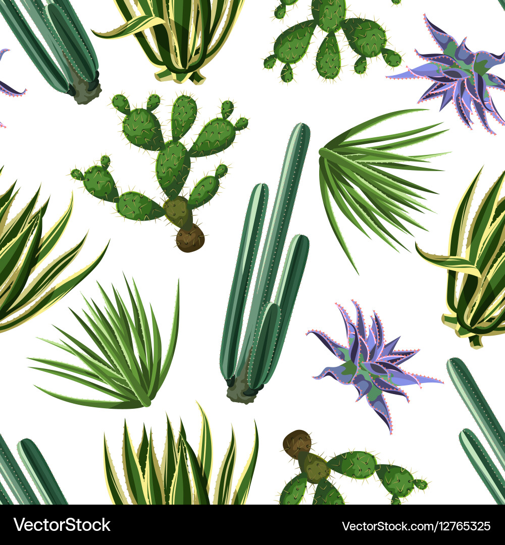 Seamless pattern with cactuses and succulents set vector image