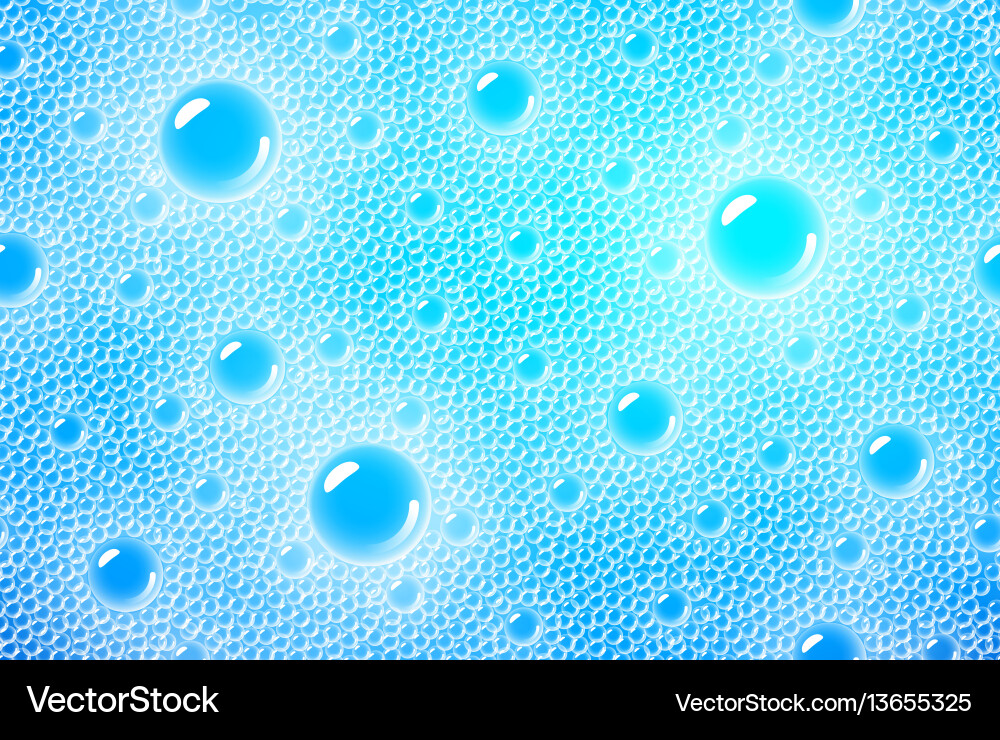 Soap Bubbles Foam Pattern vector image
