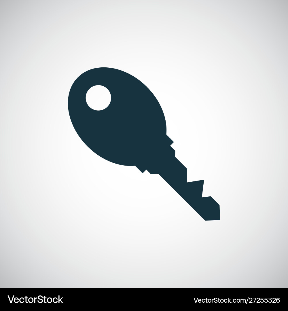 Key icon for web and ui on white background vector image
