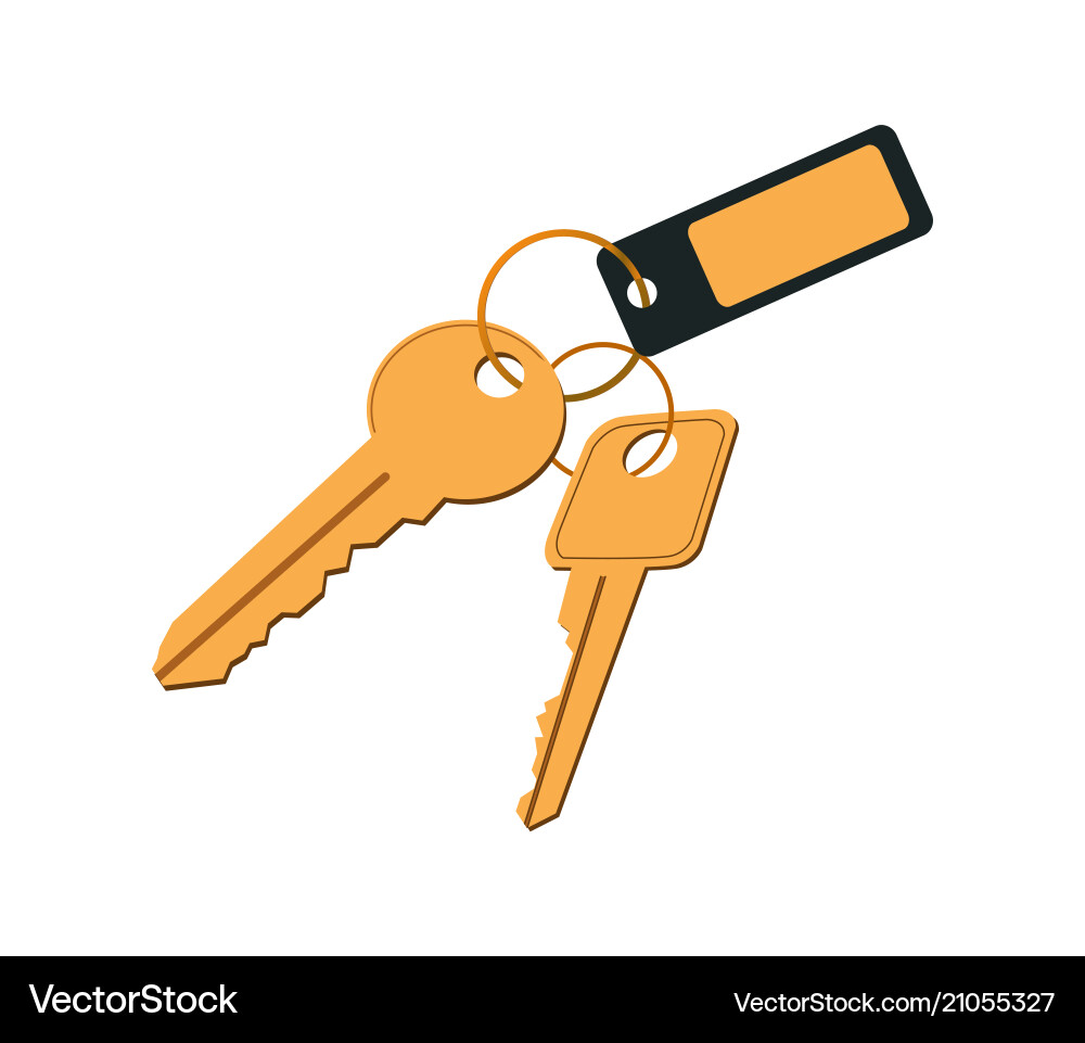 Keys in keyring with label Vector Image