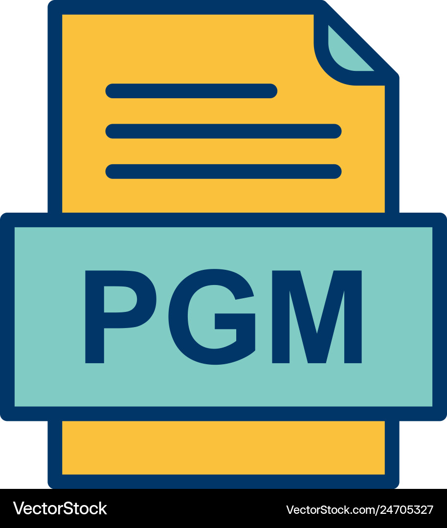 Pgm file document icon vector image