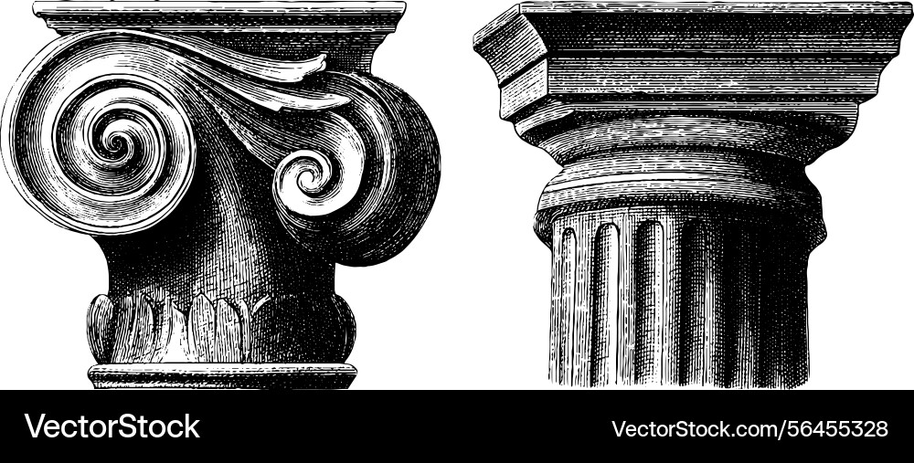 Classical ancient columns engraved Classical ancient columns engraved vector image