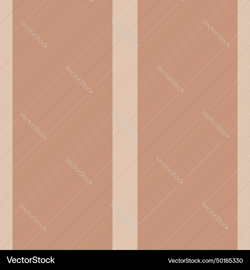Vertical lines stripe pattern stripes background Vector Image