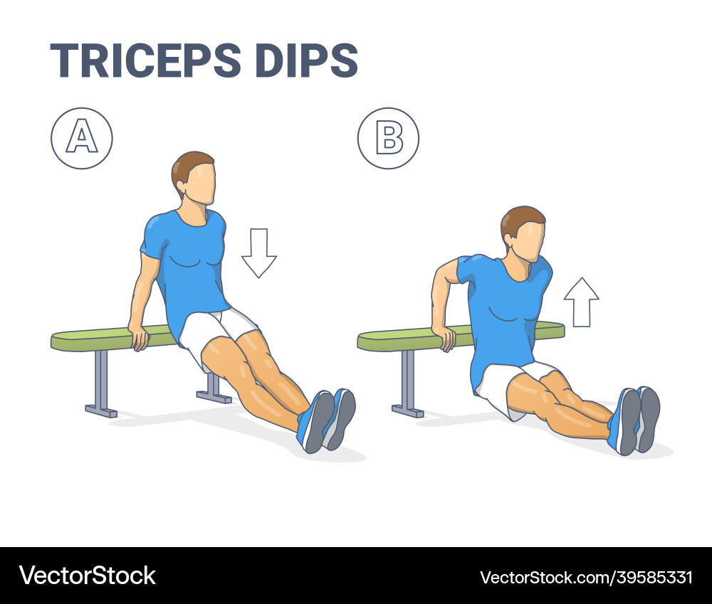 Man doing bench triceps dips workout exercise Vector Image