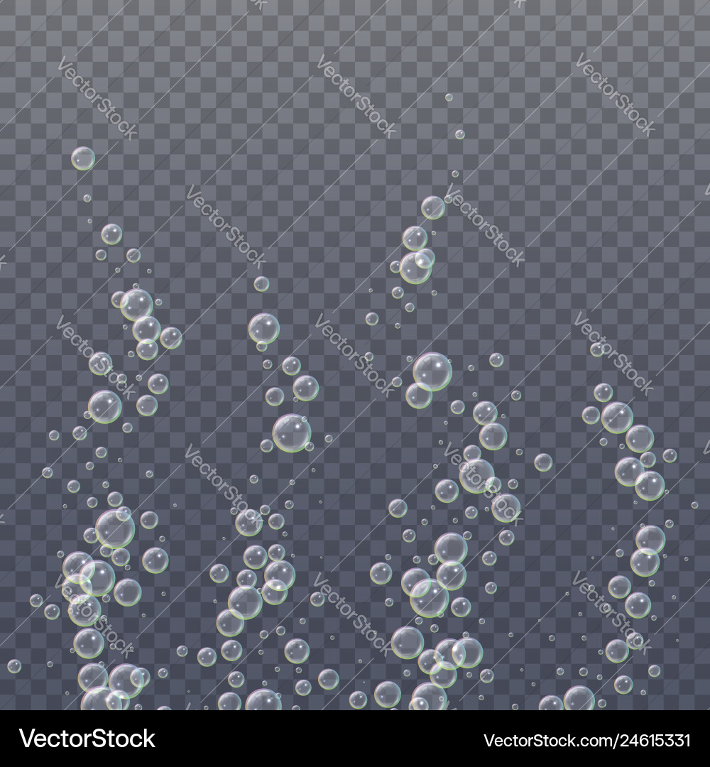Realistic 3d floating soap bubbles Realistic 3d floating soap bubbles Vector Image
