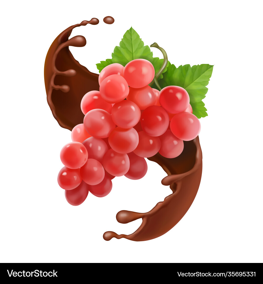 Red grape branch in chocolate splash Red grape branch in chocolate splash vector image