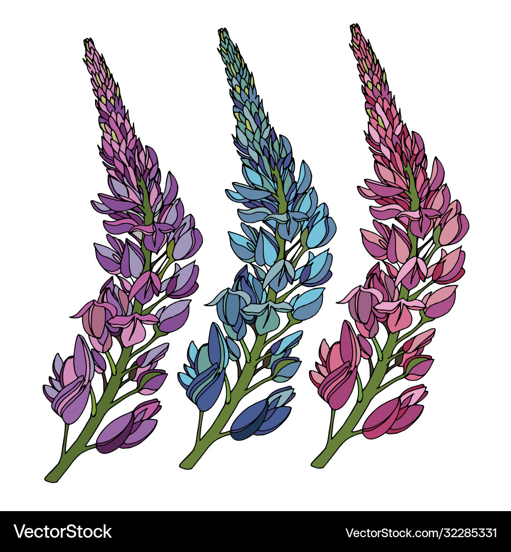 Set color botanical element branch field Set color botanical element branch field Vector Image