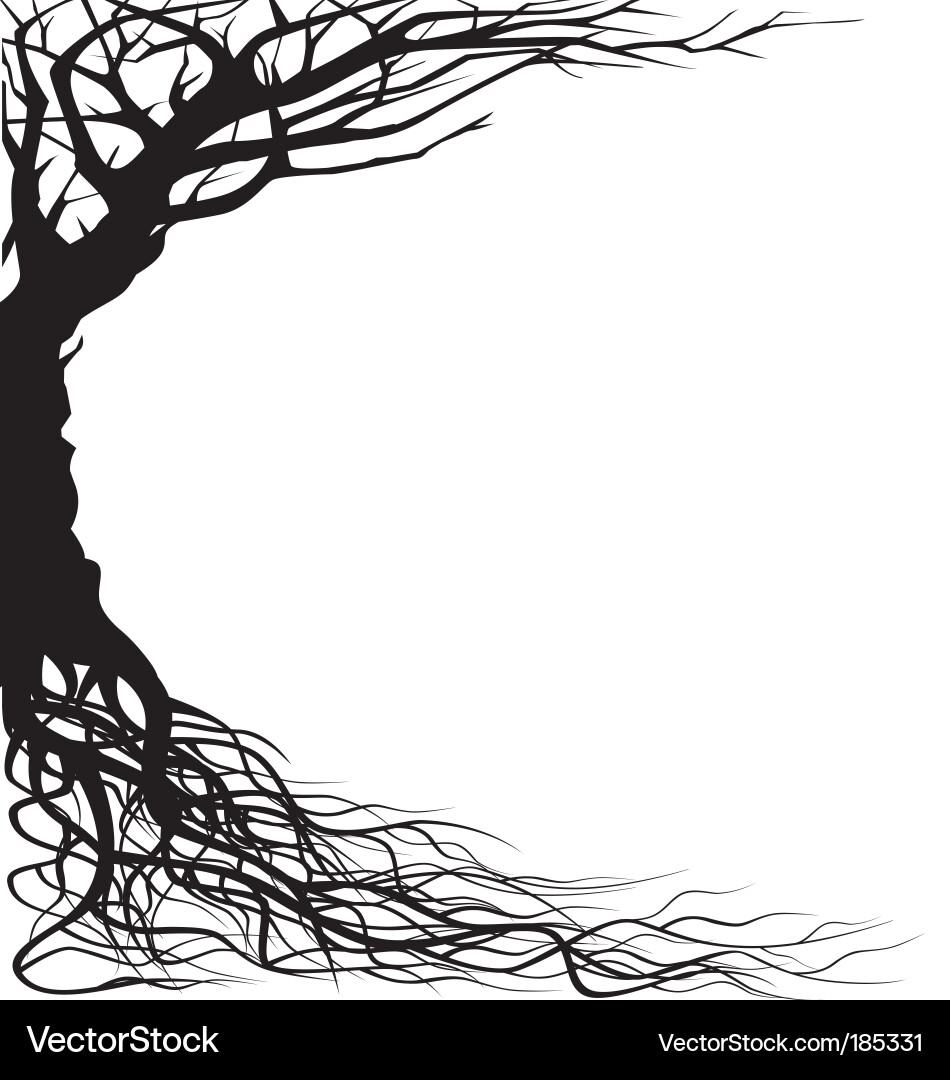 Tree Silhouette Against Sky vector image