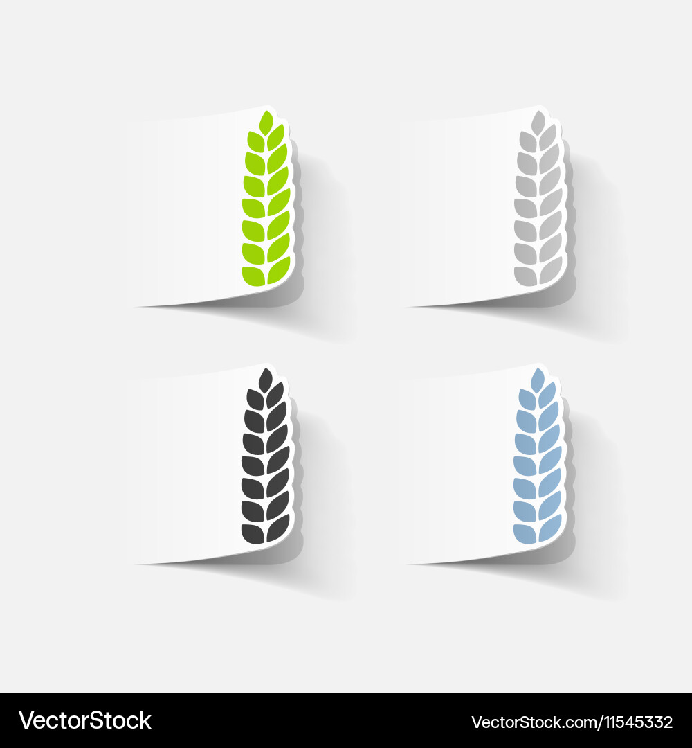 Realistic design element ears of wheat Vector Image