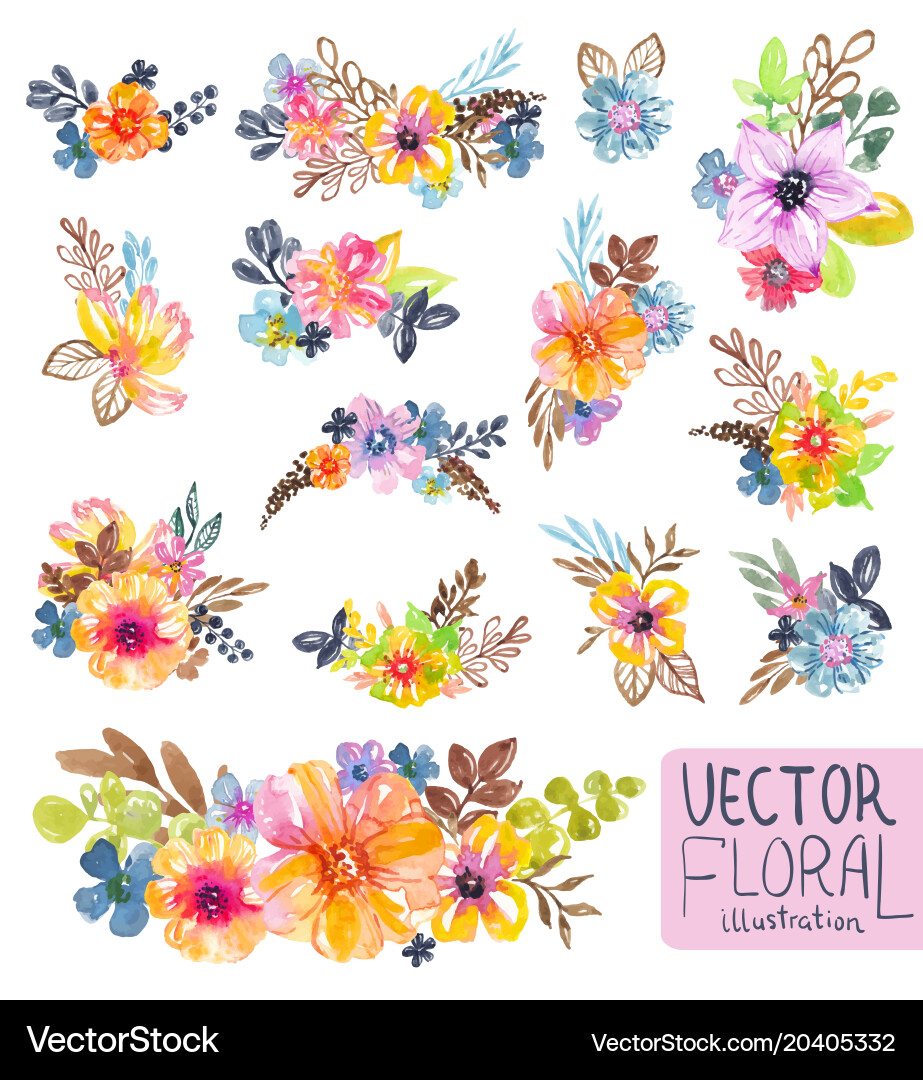 Vibrant Floral Watercolor Collection vector image