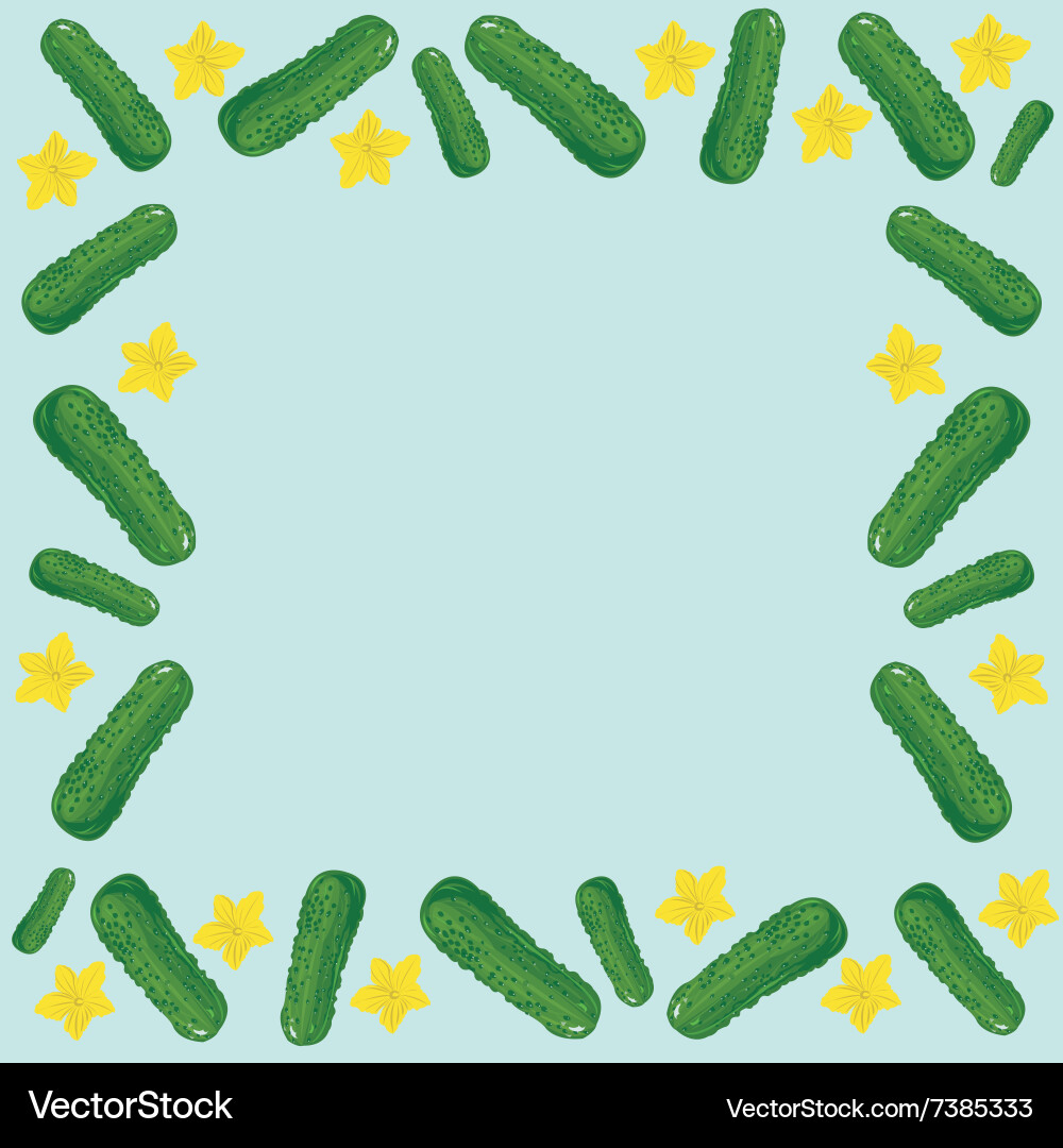 Frame cucumber Vector Image