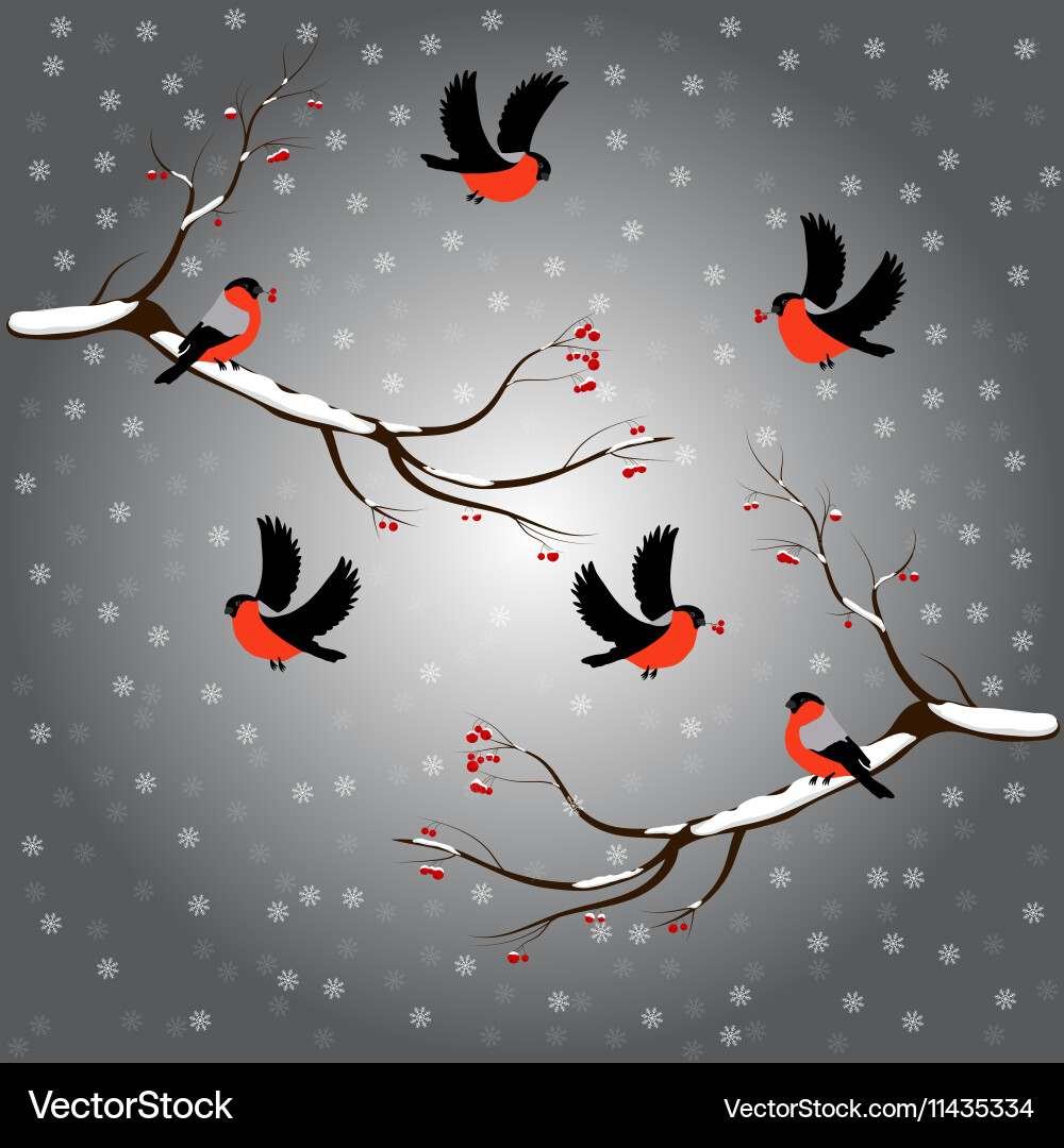 Bullfinch auf Ruderzweig Schnee merry Weihnachten Vektorbild