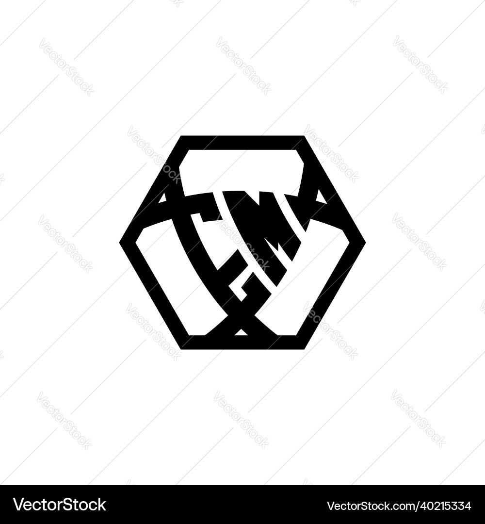 Em logo monogram triangle shield hexagonal style Em logo monogram triangle shield hexagonal style Vector Image