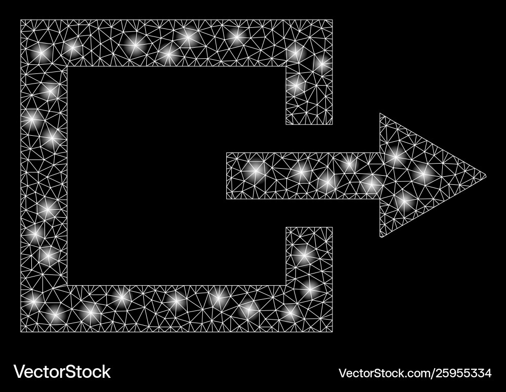 Flare mesh network exit with spots Vector Image