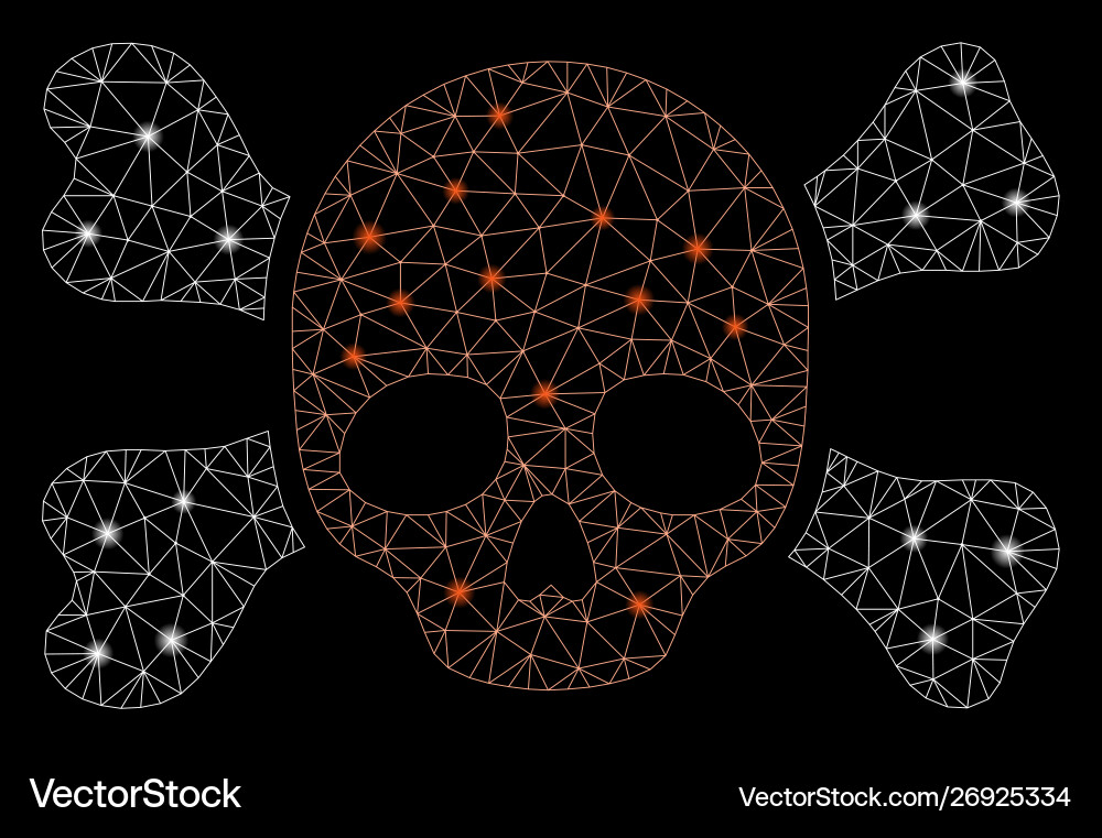 Flare mesh network skull and bones with Flare mesh network skull and bones with Vector Image