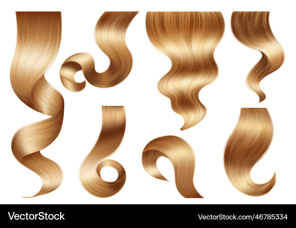 Realistic hair curls set vector image