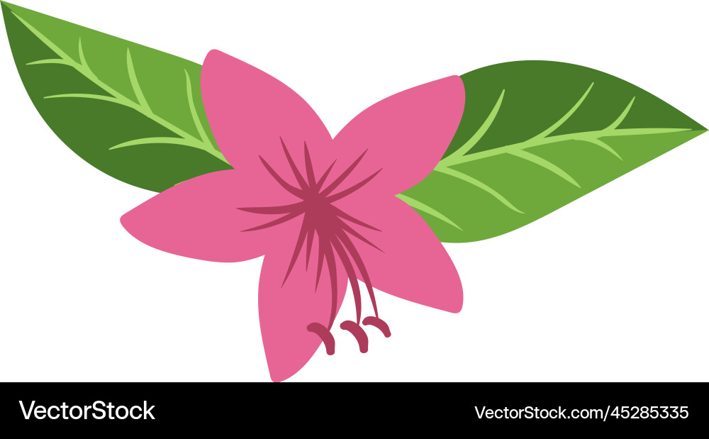 Tropical flower with green leaves jungle nature Tropical flower with green leaves jungle nature vector image