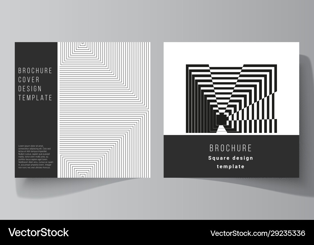 Minimal layout two square format Minimal layout two square format Vector Image