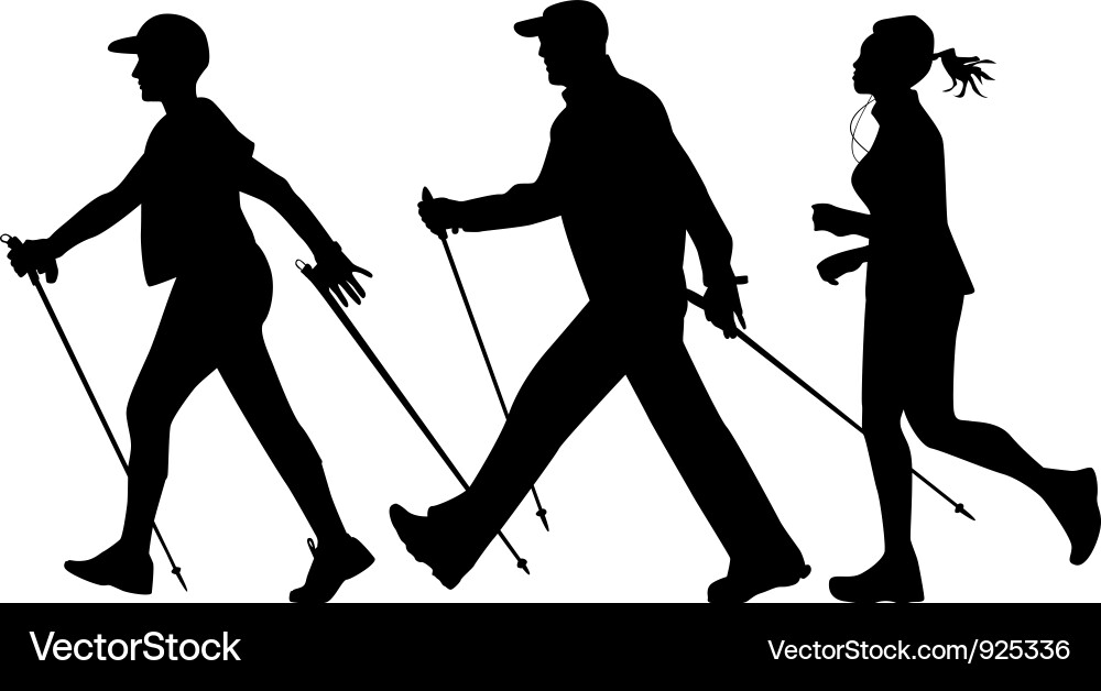 Nordic Walking Exercise Vector Image