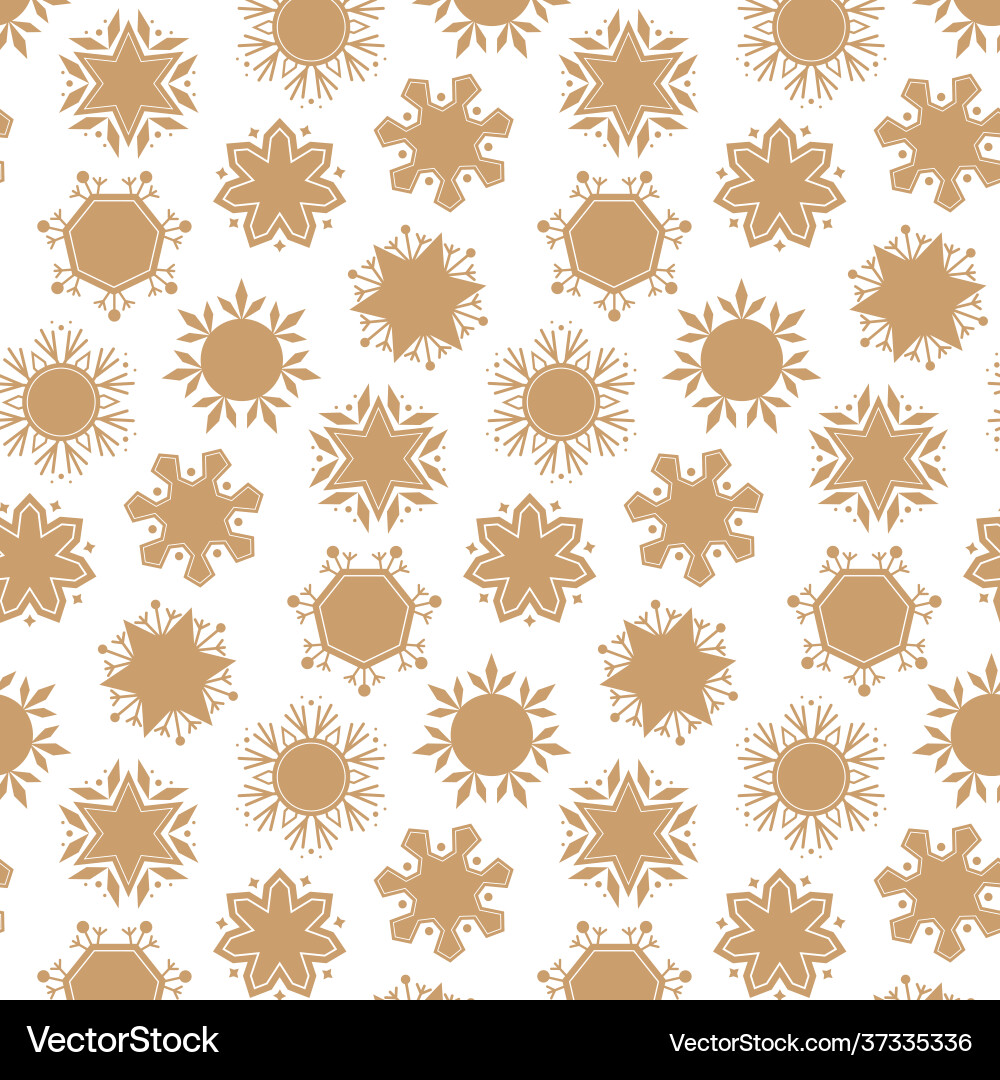 Winter Snowflake Pattern Vector Image
