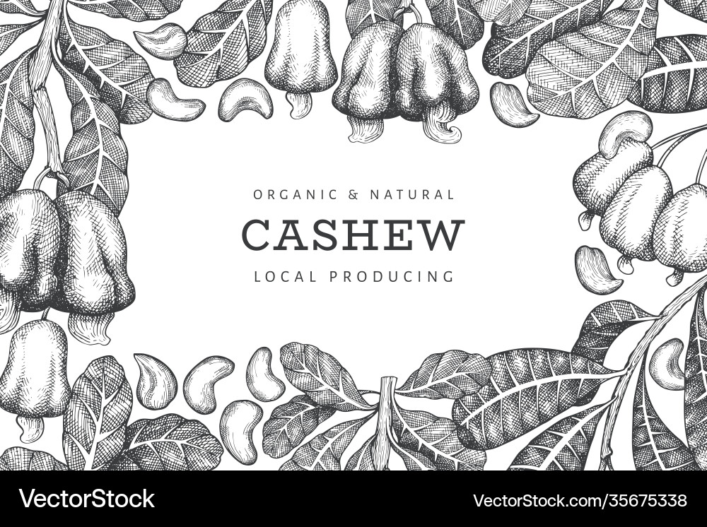Hand gezeichnete Skizze Cashew Design Template bio Hand gezeichnete Skizze Cashew Design Template bio vektorbild