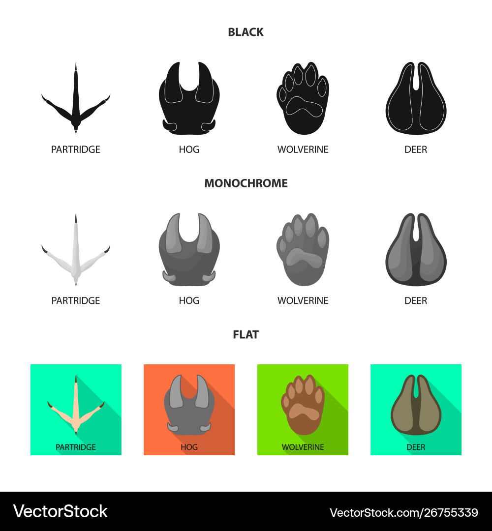 Isolated object step and walk symbol set vector image