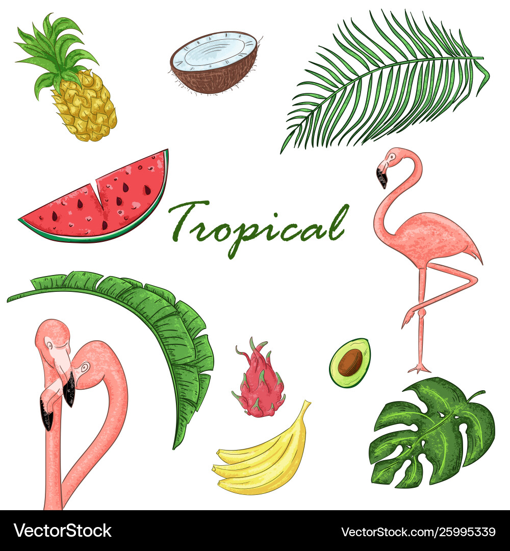Tropical Summer Leaves & Flamingos Vector Image