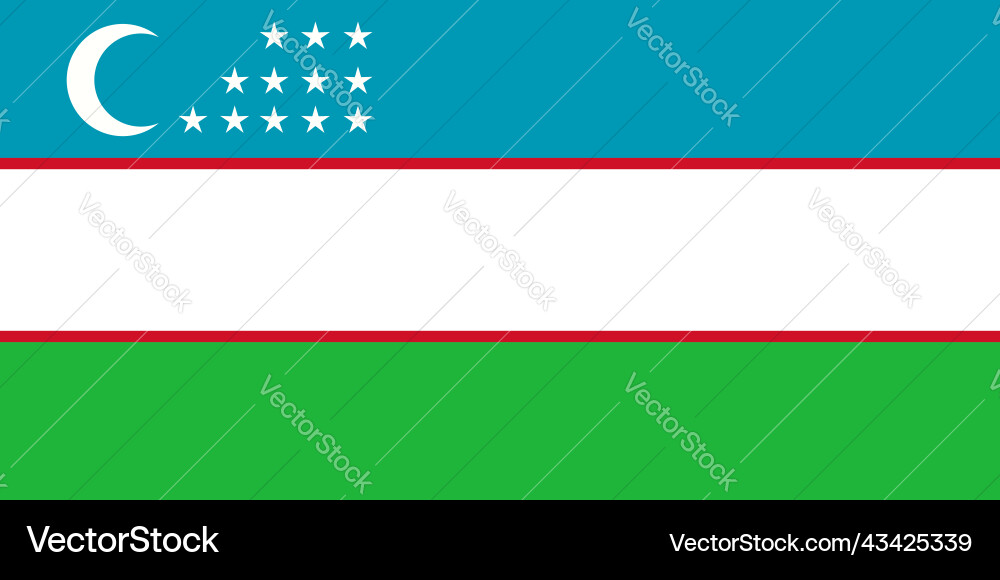 Uzbekistan icon cartoon flag map Uzbekistan icon cartoon flag map vector image